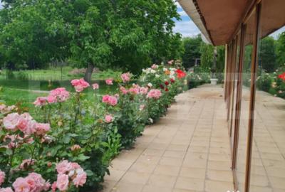 Casă cu 4 camere cu Teren 1710 Mp în Central - 3