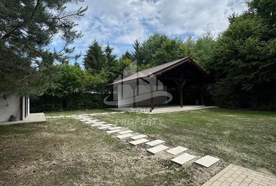 Pensiune/ Vila Valea Avrigului - 22