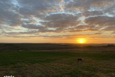 Casă cu 3 camere în Breazu - 2