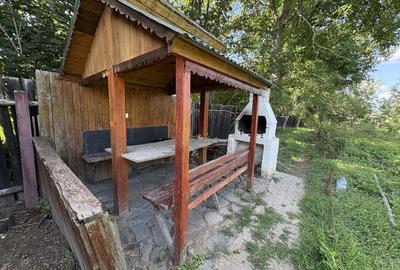 Casă cu 3 camere în Feldioara - 6