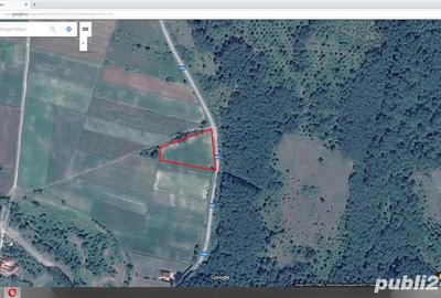 Teren de 11000 mp, în Fârdea - 2