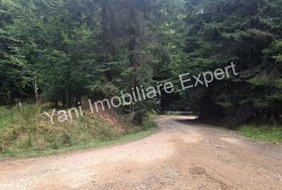 Teren de vanzare in apropiere de Transfagara?an ?i Valea Valsanului. - 13