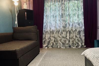 Garsoniera Victoriei | bld Banu Manta | Proprietar