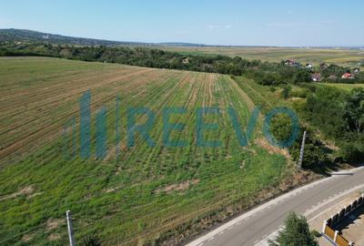 Teren Construcții intravilan de 7366 mp, în Sărata (Sărata) - 6