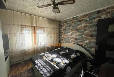 Apartament cu 3 camere decomandat în Nufărul - 12