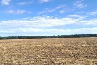 Teren extravilan Branesti, ID: R2649181 - 4