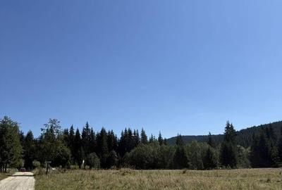 SUPER OCAZIE - Teren intravilan, COMANDAU - 6