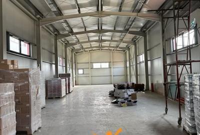 CUG , SPATIU COMERCIAL 300 MP + 2000 MP CURTE - 5