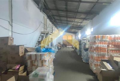 Hale de vanzare in localitatea Sebis, Arad - 11