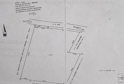 Teren de 60000 mp, în Bradu - 11