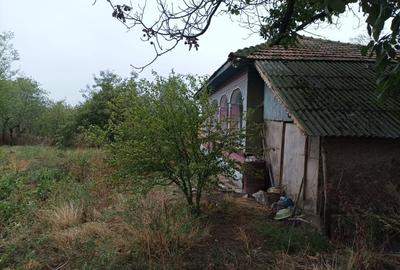 Casă bătrânească cu teren 3.500 mp, vie, pomi și utilități – ideală pentru retre - 7