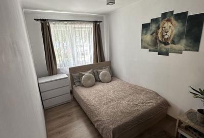Apartament cu 3 camere decomandat în Dâmbu Pietros - 6