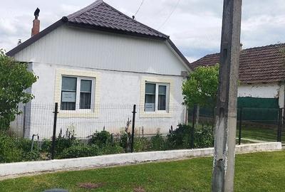 Casă cu 4 camere cu Teren 3500 Mp în Sâi - 1