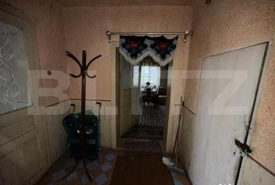 Casă cu 4 camere cu Teren 3000 Mp în Cășeiu - 5