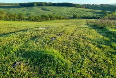 Teren de 9400 mp, în Remetea Chioarului - 5