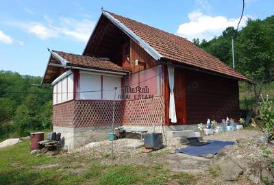 Cabana, anexe si 2000 mp teren intravilan in Taratel, Brad - 5