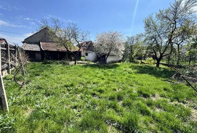 Casă cu 4 camere în Pârneava - 4
