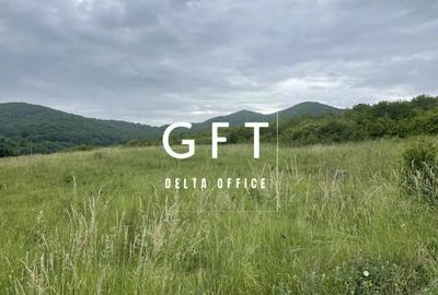 Teren în Viișoara - 5