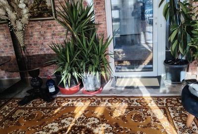 Casă individuală cu 4 camere cu Canalizare în Variaș - 2