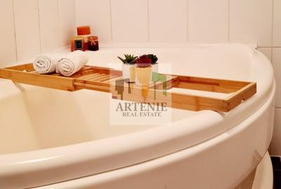 2 camere Mobilat utilat- Posta Vitan- Timpuri Noi - 7