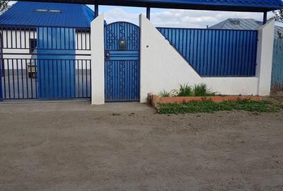 Casă cu 4 camere în Odaia Manolache - 7