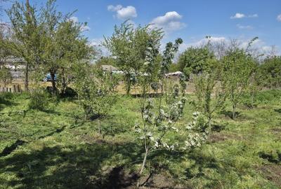 Teren agricol intravilan de 2050 mp, în Valea Măcrișului - 11