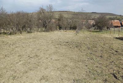 Casă cu 4 camere cu Teren 1452 Mp în Mănăstireni - 6