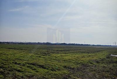 Teren Construcții intravilan de 12831 mp, în Căciulați - 1