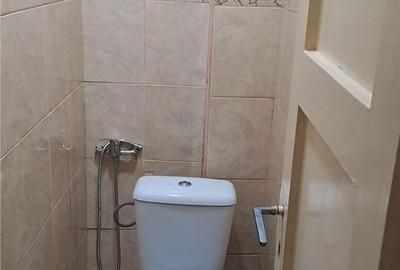 Apartament cu 2 camere în Copou - 5