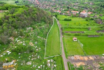 Teren Construcții intravilan de 6500 mp, în Păpăuți