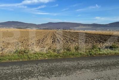 Teren de 5300 mp, în Arcalia - 7