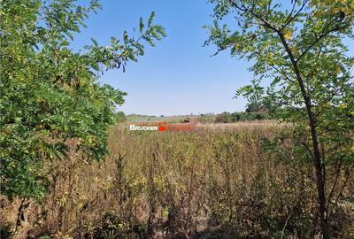 TEREN REZIDENTIAL | TOBOLIU | 1.773 MP - 6