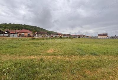 Teren de 2145 mp, în Hidiș - 11