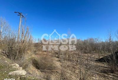 Teren de 6000 mp, în Petrești - 1
