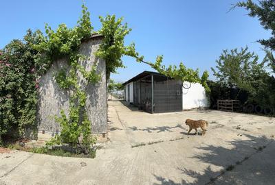 Casă cu 3 camere în Bujoreanca - 4