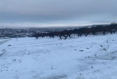 RECO teren Saldabagiu de Munte - 1