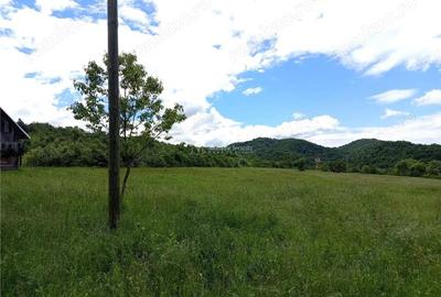 Teren de 16000 mp, în Borlovenii Noi - 6