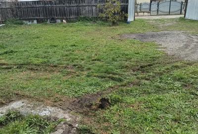 Hala de produc?ie - 8