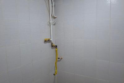 Apartament cu 3 camere decomandat în Cișmigiu - 1