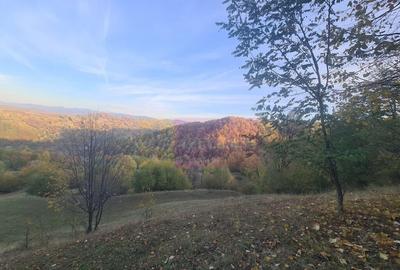 Teren intravilan de vanzare in Telega - 2