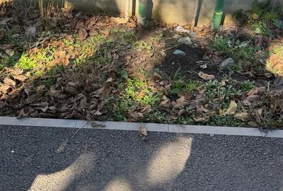 Teren de 460 mp, în Cumpăna - 3
