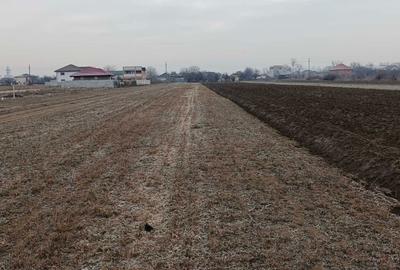 Teren de 4800 mp, în Mărăcineni - 2