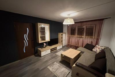 Apartament cu 2 camere semidecomandat, mobilat în Blașcovici - 1