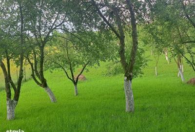 Spațiu comercial, în Benic - 4
