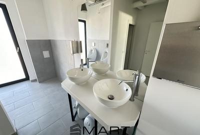 Birou, de 234 mp, în Trei Stejari - 9