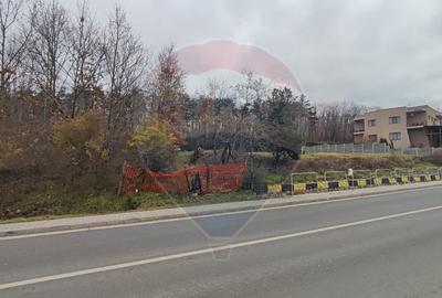 Oportunitate investitie B. Felix teren intravilan cu PUZ 1157 mp DN 76 - 3