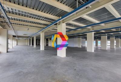 Spatiu - 600 mp #plus-imo.ro - 5