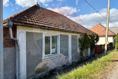 Casă individuală cu 2 camere cu Teren 1449 Mp în Ocna Șugatag - 2