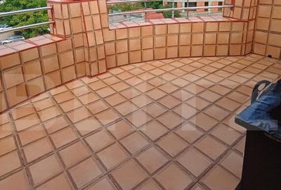 Spatiu birouri /comercial 80 mp + terasa de 14mp, zona Canta - 9