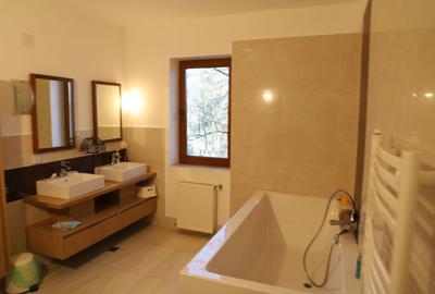 Proprietate Snagov de vanzare - 8